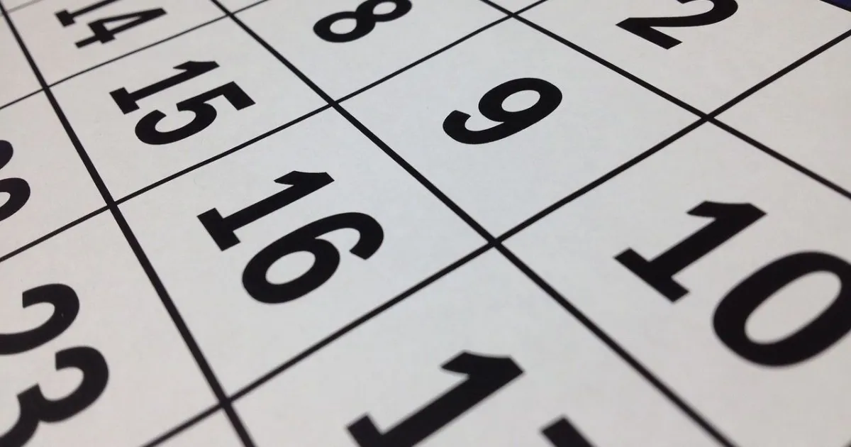 Veja quais são os feriados em novembro de 2025