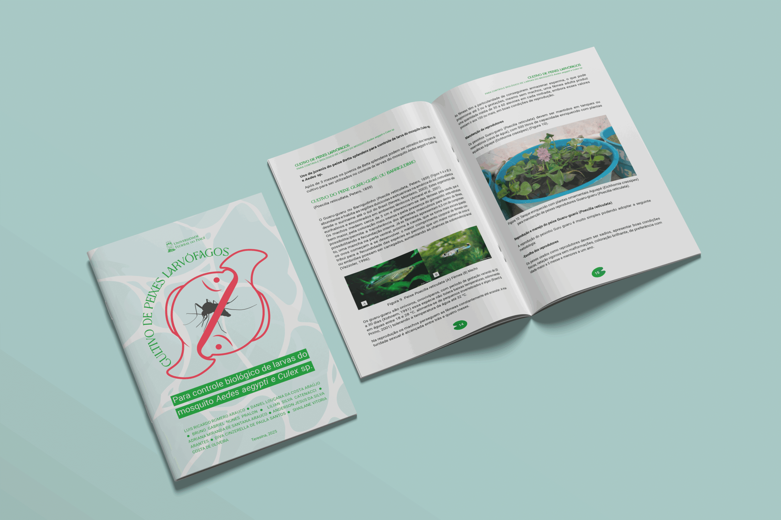 UFPI promove curso sobre controle biológico de larvas de Aedes aegypti e Culex sp