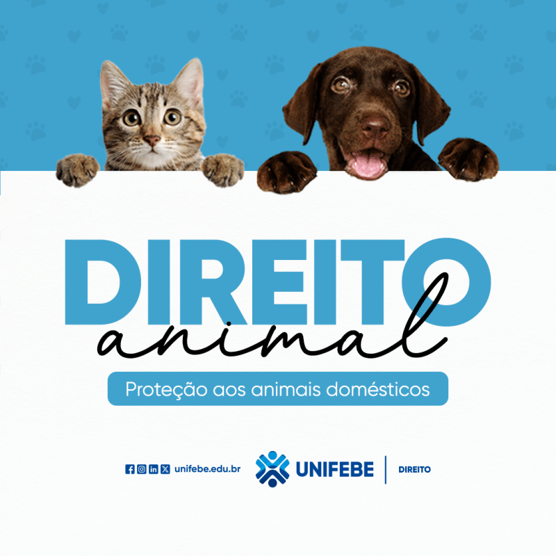 Curso de Direito da Unifebe promove campanha solidária em prol de Ongs de proteção animal – Rádio Super FM 99,9