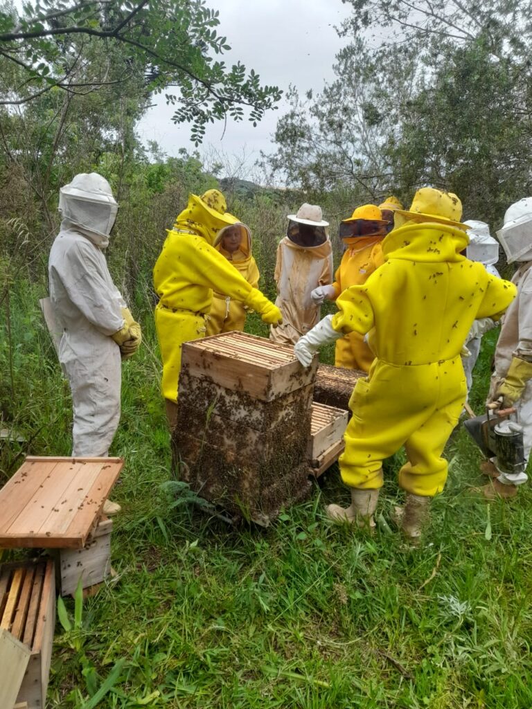 Sistema FAESC/SENAR/SINDICATOS promove cerca de 300 cursos gratuitos em dezembro