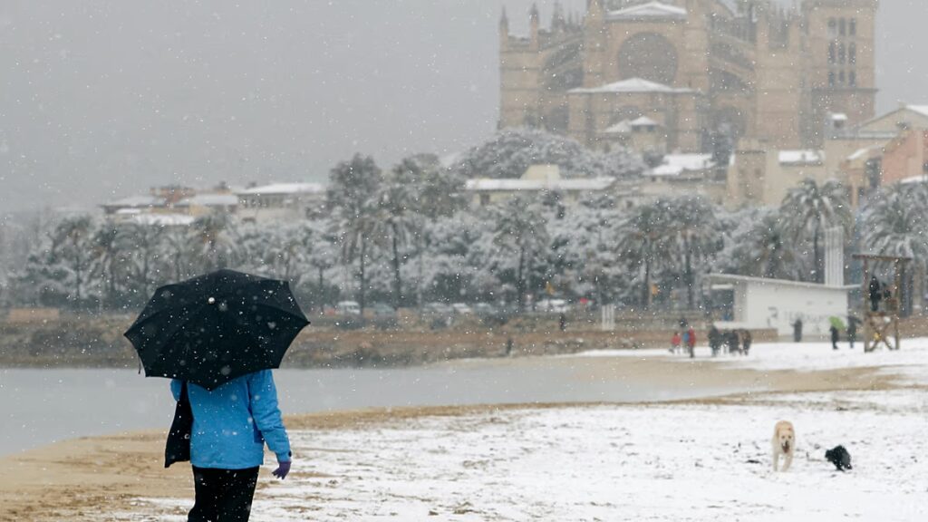 Schnee unter Palmen: Ist Mallorca ein guter Zufluchtsort im Winter?