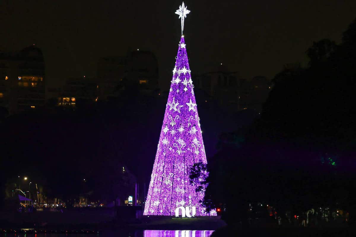 Natal no Ibirapuera tem shows e atrações grátis - 26/11/2025 - Passeios
