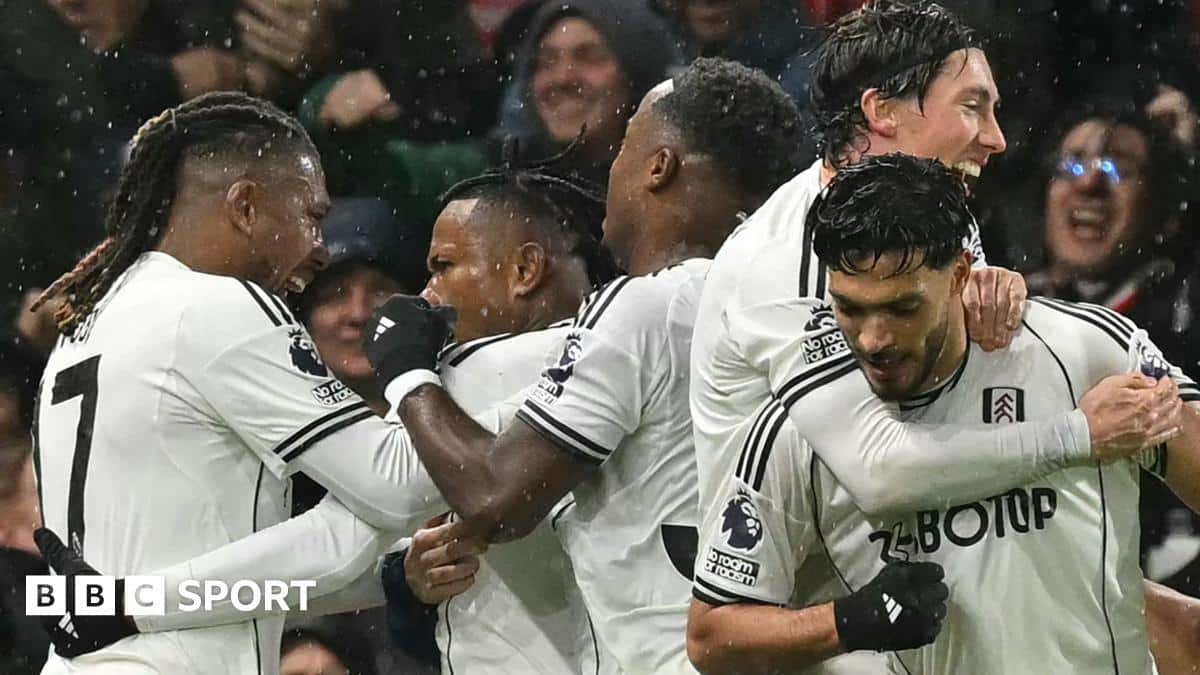 Fulham 1-0 Sunderland: Raul Jimenez scores late winner in Premier League