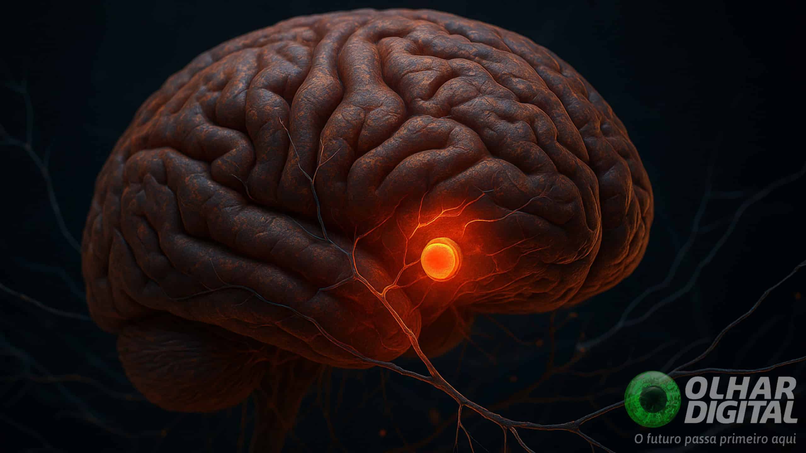 Cérebro tem ‘botão de dor’ escondido, diz pesquisa