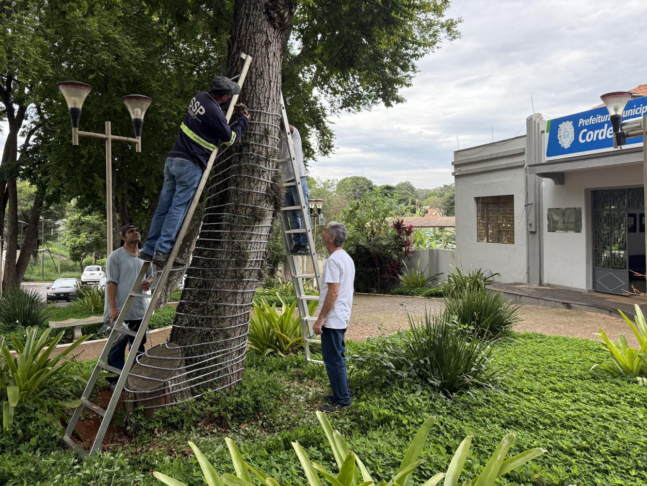 Natal Iluminado em Cordeir&oacute;polis ter&aacute; shows, luzes e chegada do Papai Noel