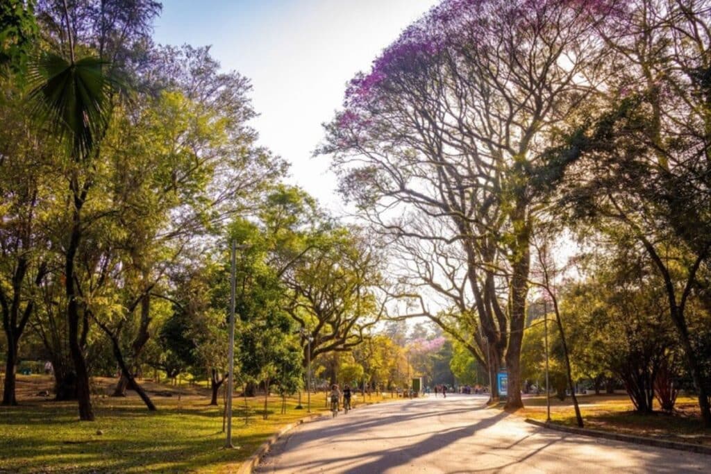 Parque Ibirapuera terá programação gratuita com shows, oficinas e sessão especial no Planetário em homenagem à Consciência Negra