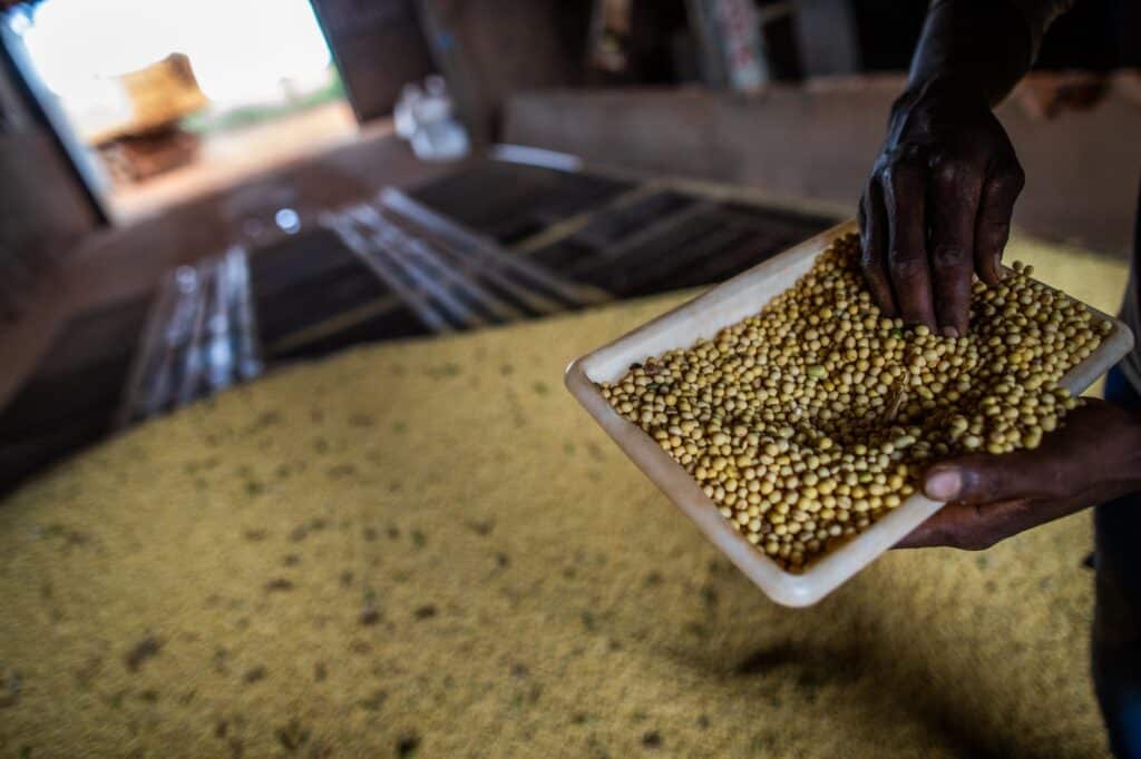 Goiás registra superávit de US$ 7,3 bilhões na balança comercial em 2025