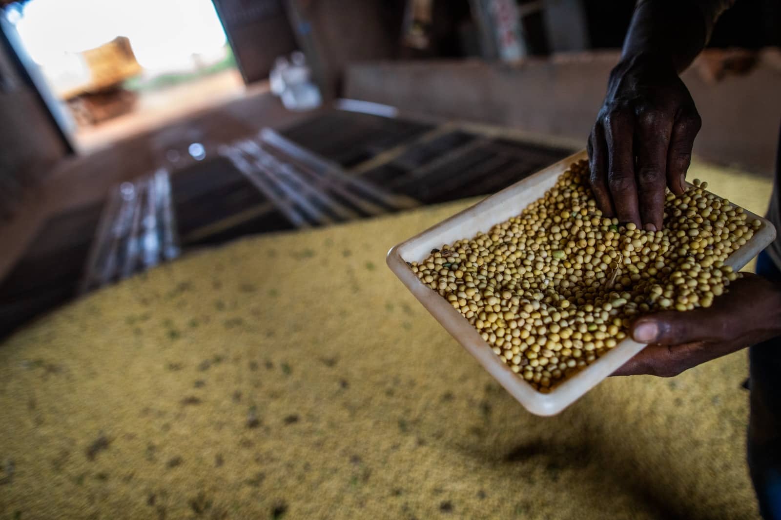 Goiás registra superávit de US$ 7,3 bilhões na balança comercial em 2025