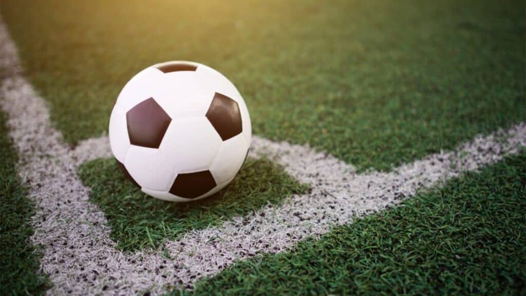 PSV x Heracles: assistir ao vivo grátis neste sábado (13/12/2025)