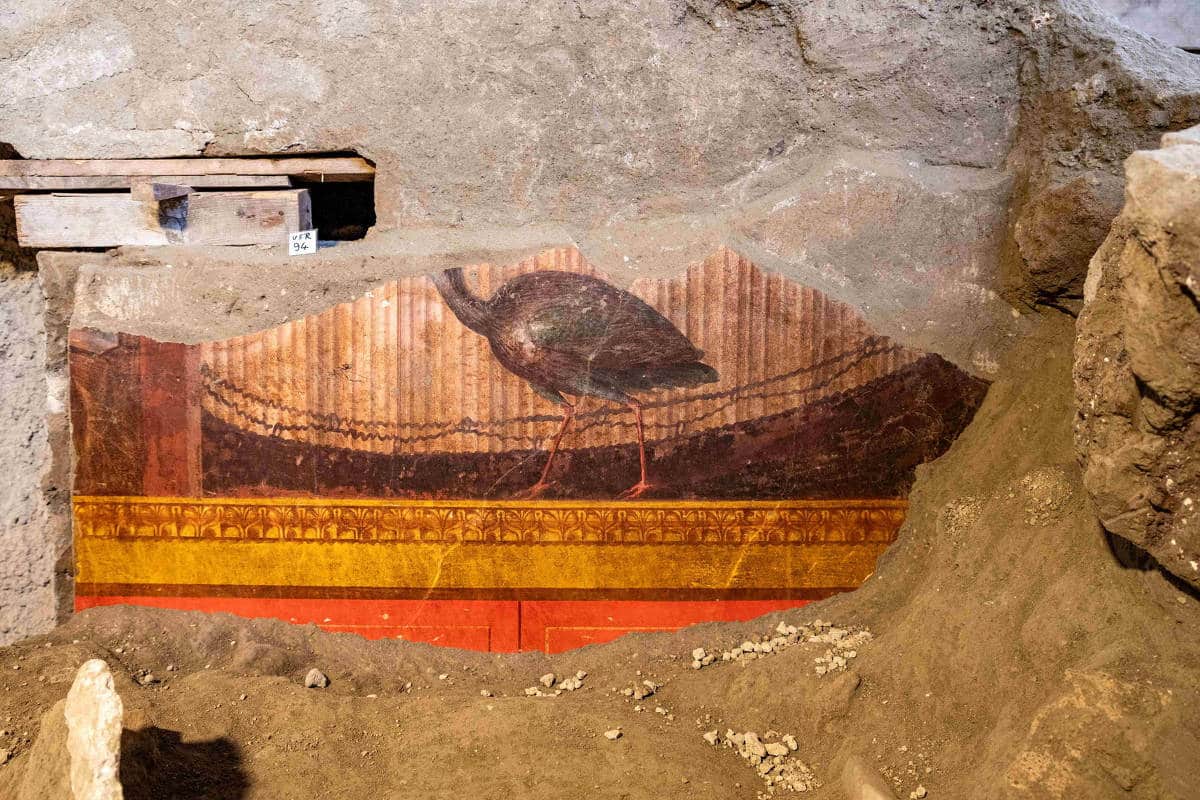 Fresco antigo parcialmente preservado mostra uma ave sobre fundo decorativo em tons de vermelho, amarelo e marrom. A pintura está inserida em parede de pedra e terra, com área escavada ao redor.