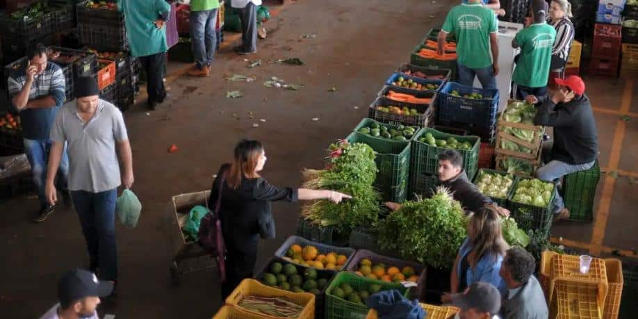 Cantora Sandra Mara se apresenta na Feira do Produtor neste sábado, na Ceasa