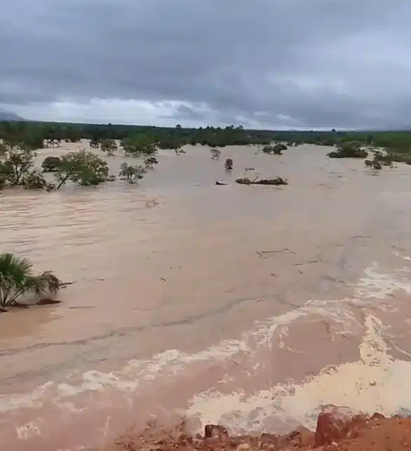 Agência Tocantins