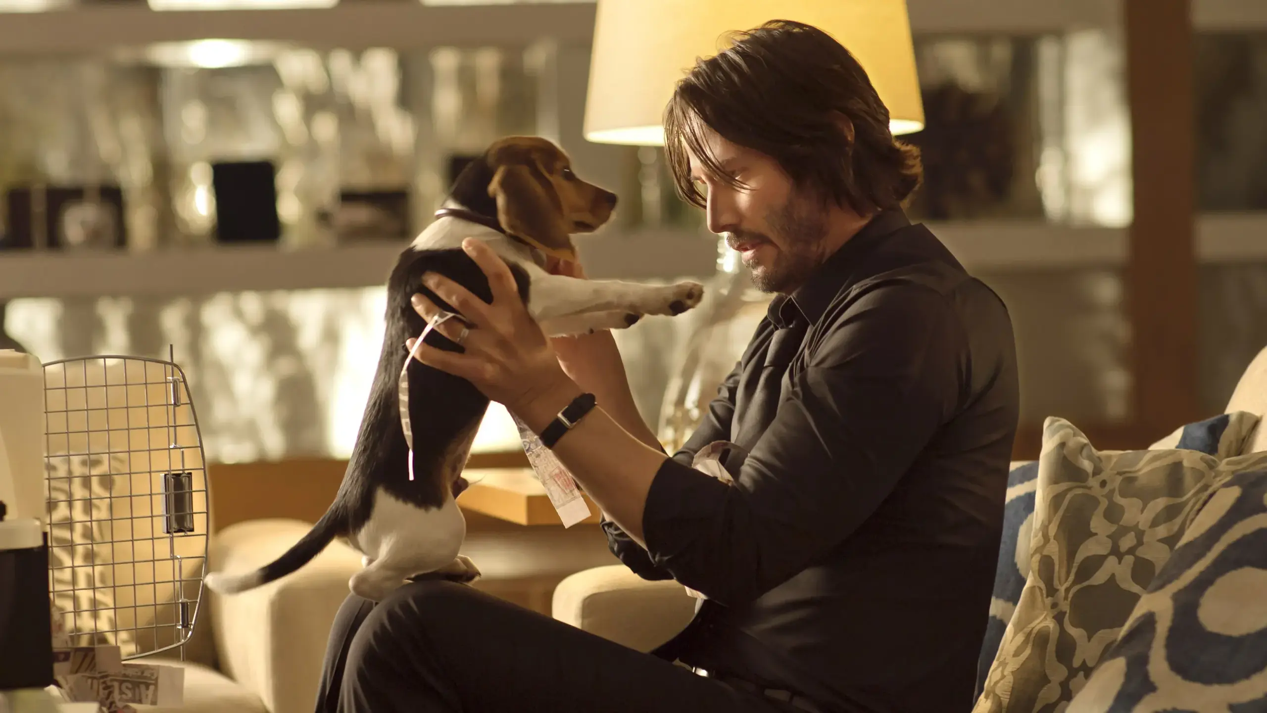 Zootopia 3 | Diretor quer Keanu Reeves como "Baba Lhama" no filme