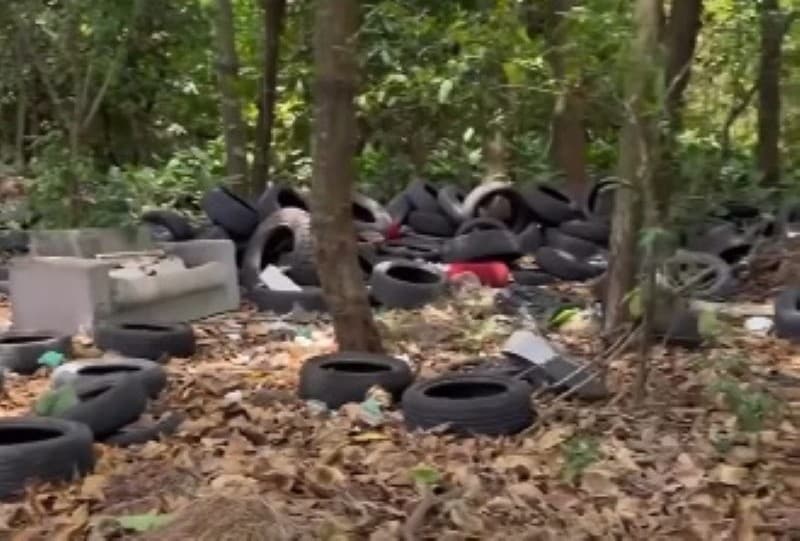 Pneus inservíveis: Santarém cria lei para logística de pneus com objetivo de evitar descarte irregular A lei prevê a possibilidade de criação de Ecopontos públicos, que poderão funcionar em parceria com empresas, cooperativas ou associações