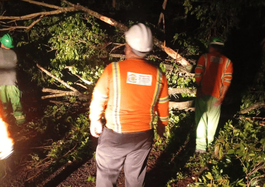 A Redação | Temporal causa estragos em Goiânia