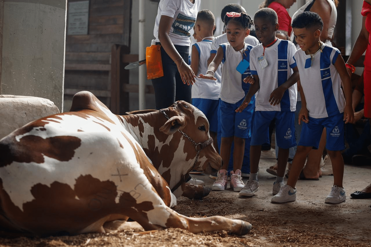 Fenagro 2025 encerra edição com shows, experiências rurais e público intenso em Salvador -