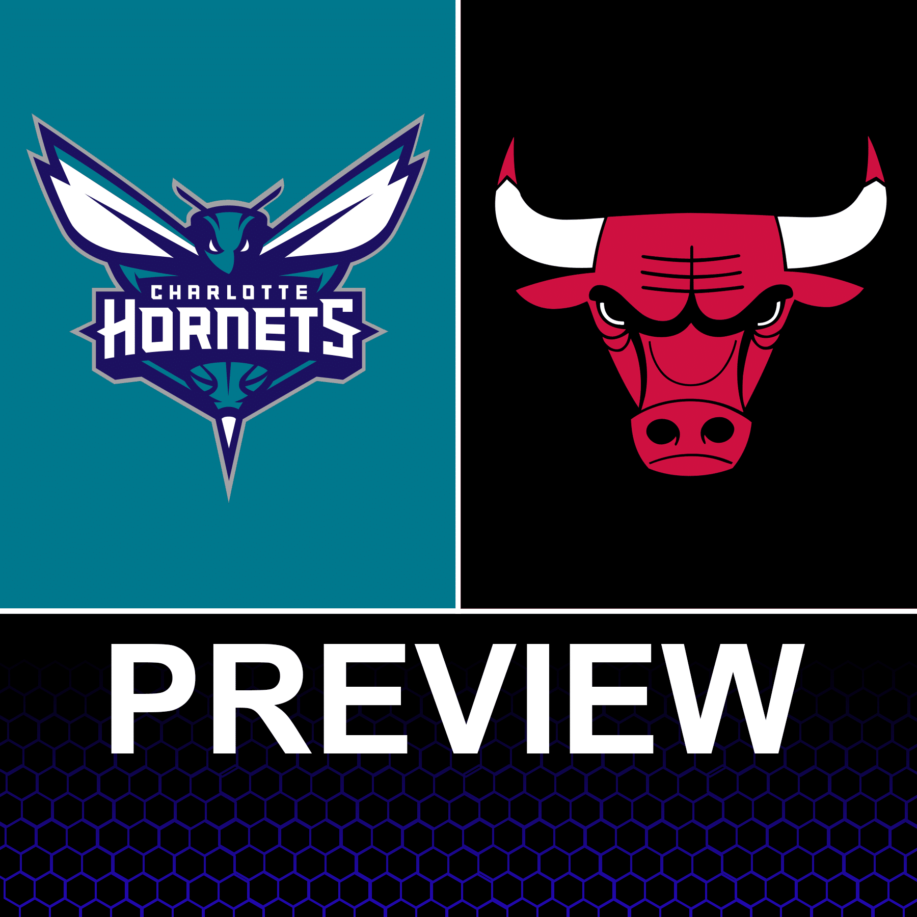 Charlotte Hornets vs Chicago Bulls Preview: Game 25