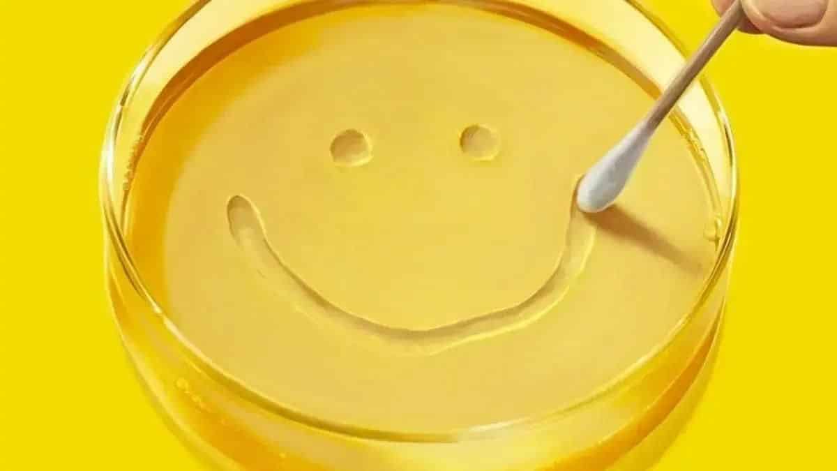 final explicado e como prepara a 2ª temporada