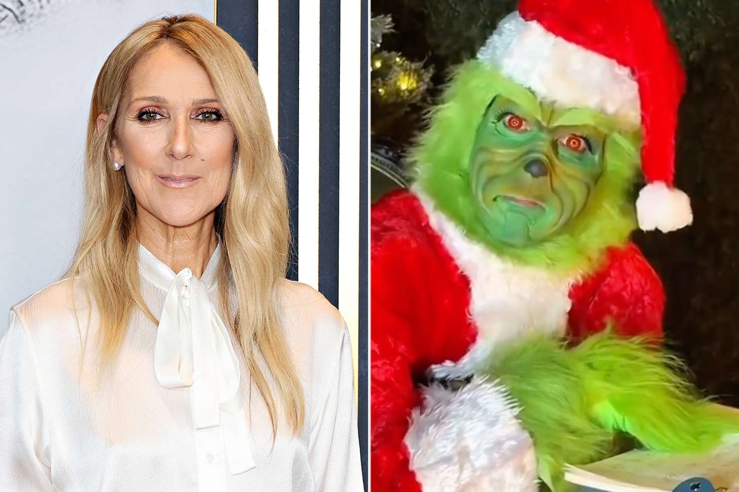 Céline Dion Dresses as the Grinch in Hilarious Holiday Video