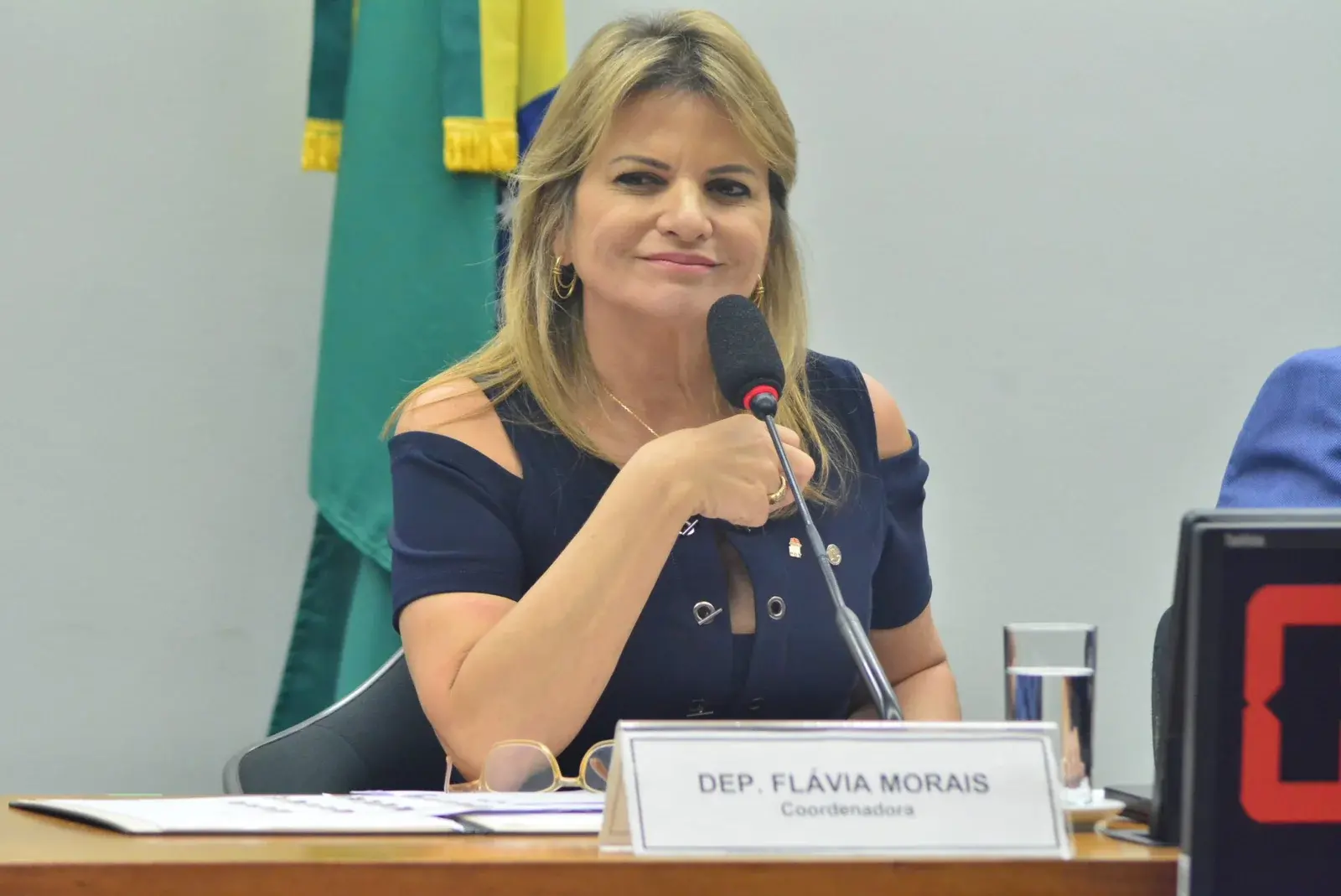 Flávia Morais foto da Câmara dos Deputados 40