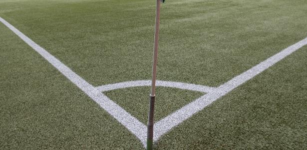 Gramado do Allianz Parque