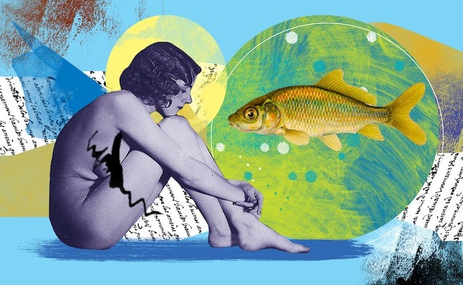 veja previsão para seu signo no dia 29/12