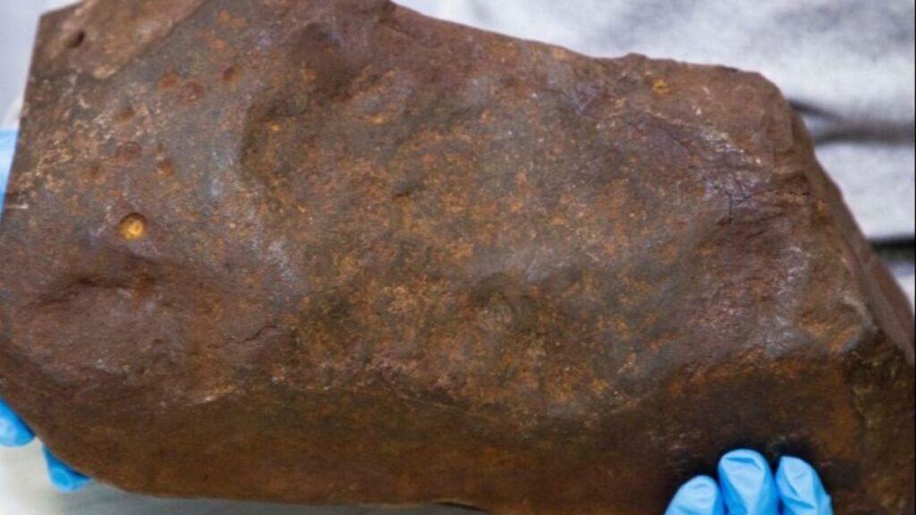 Homem guarda rocha pensando ser ouro e descobre que é mais preciosa • DOL