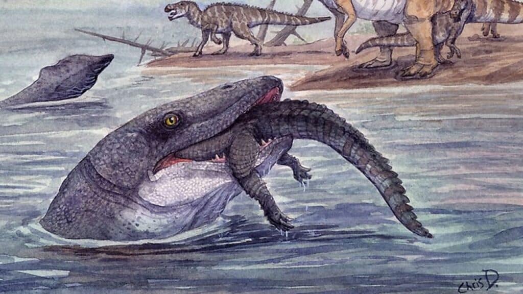 Dente fóssil mostra que monstro marinho pré-histórico pode ter aterrorizado rios