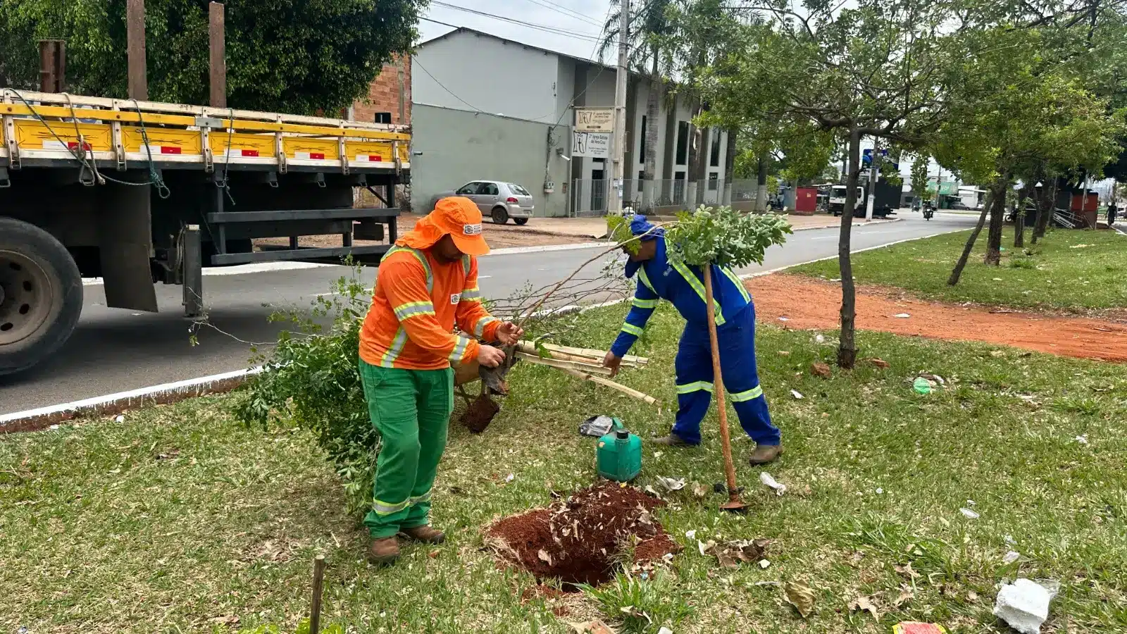 Comurg projeta o plantio de 6 mil novas árvores em Goiânia até abril de 2026