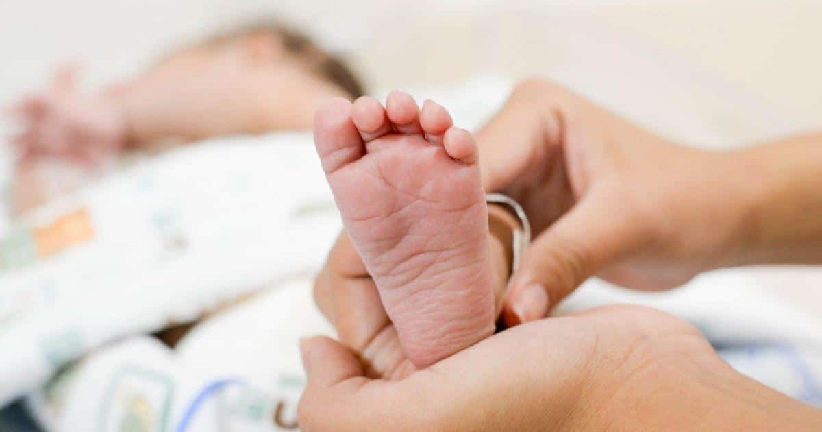 Prefeitura de Maceió | Saúde promove curso de triagem neonatal para…