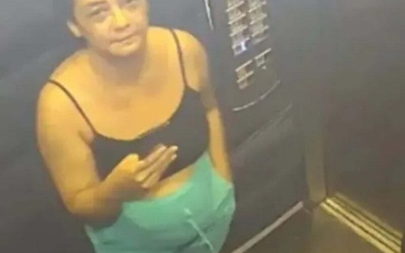 Caso de mineira desaparecida em Goiás é investigado como possível homicídio