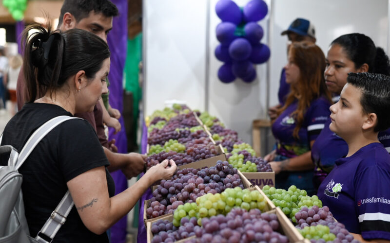 Com shows, primeiro fim de semana da Fesuva teve mais de 4 mil visitantes | Jornal da Manhã