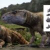 Dinossauros Hungria capa
