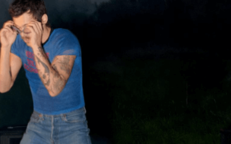 Harry Styles anuncia dois shows em São Paulo; saiba detalhes