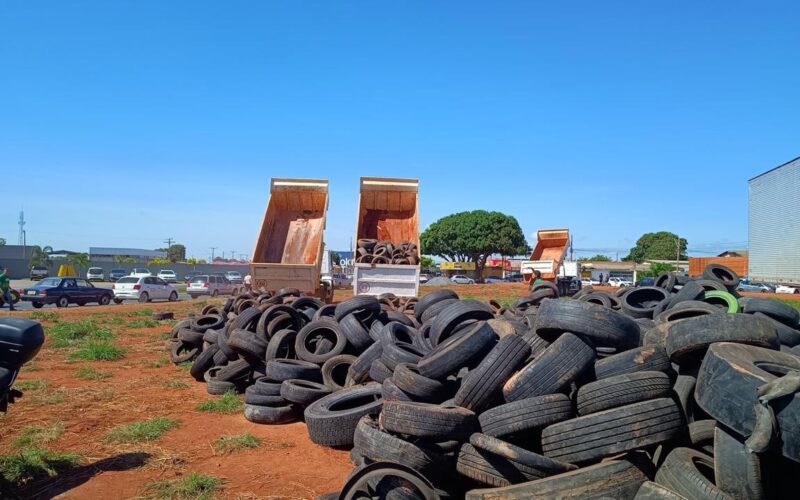 A Redação | Goiânia intensifica combate à dengue com Dia D de recolhimento gratuito de pneus 