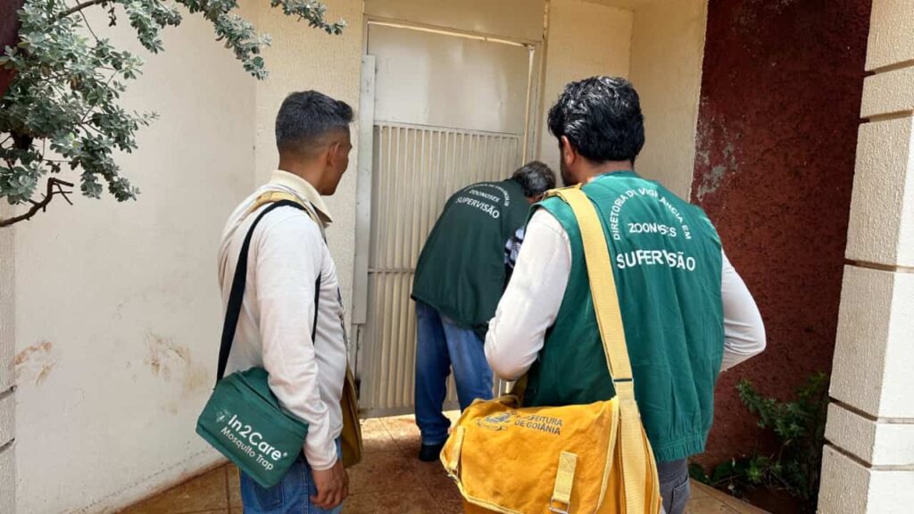 Período chuvoso reforça alerta para prevenção da dengue em Goiânia