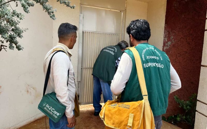 Período chuvoso reforça alerta para prevenção da dengue em Goiânia