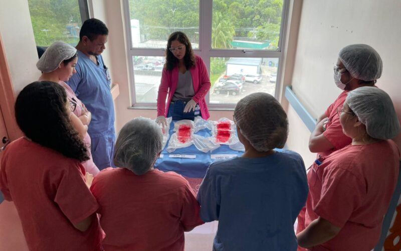 Instituto da Mulher promove curso de atualização sobre Hemorragia Pós-Parto para profissionais da saúde