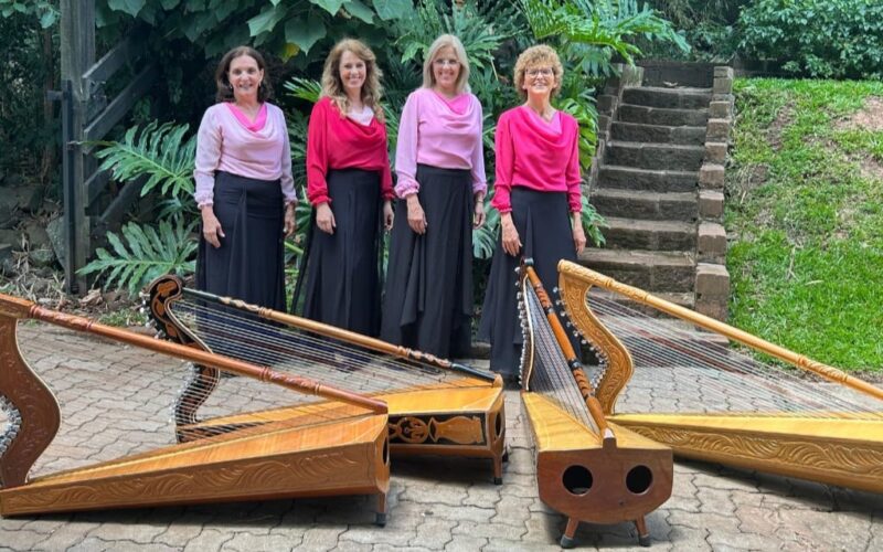 Concerto joga luzes em pesquisa sobre a harpa guarani