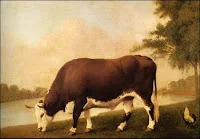 Boi no pasto representando força e estabilidade nos sonhos