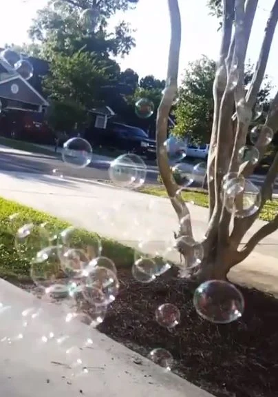 Bolhas de sabão flutuando simbolizando sonhos e fragilidade