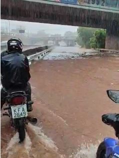 A Semma está relacionando as árvores que foram mutiladas pela Equatorial nos últimos dias para determinar o valor da multa ambiental.